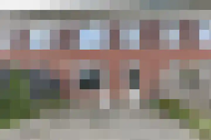 Roodborst 30 Hoogkarspel thumbnail 26