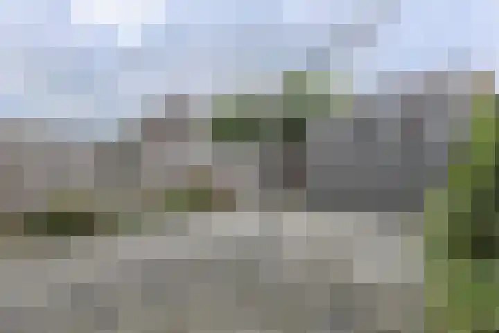 Roodborst 30 Hoogkarspel thumbnail 27