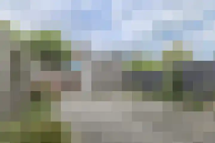 Roodborst 30 Hoogkarspel thumbnail 29