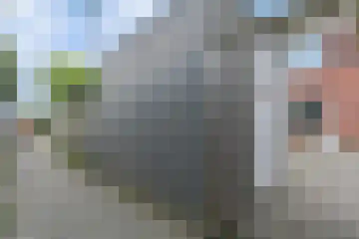 Roodborst 30 Hoogkarspel thumbnail 31