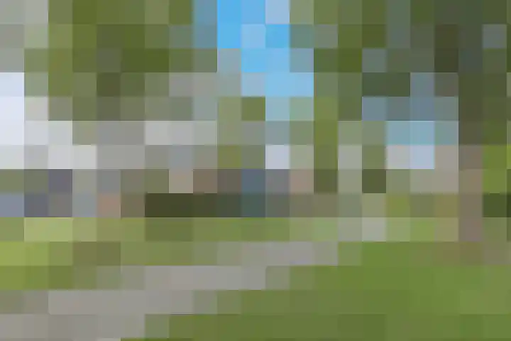Roodborst 30 Hoogkarspel thumbnail 33
