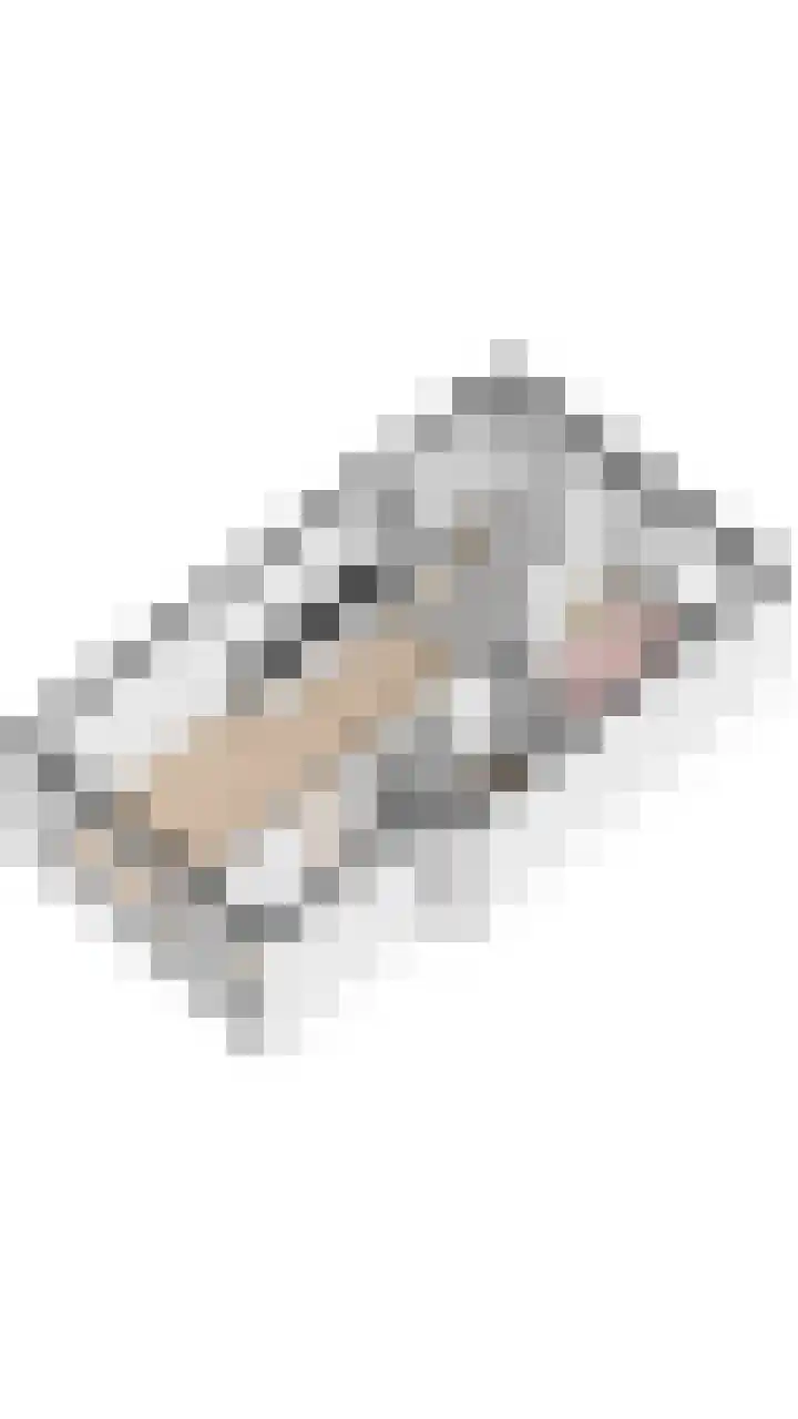 Roodborst 30 Hoogkarspel thumbnail 38