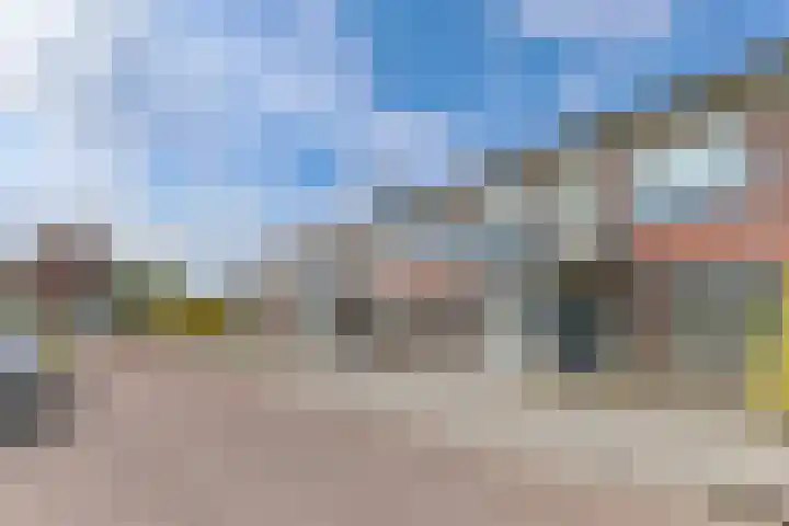 Roodborst 30 Hoogkarspel thumbnail 6