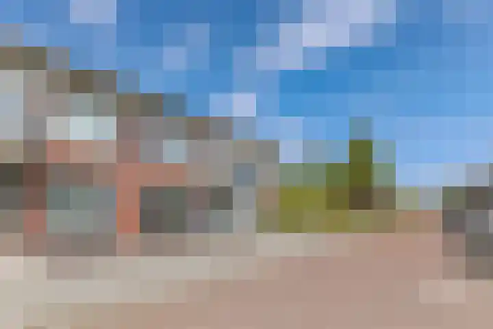 Roodborst 30 Hoogkarspel thumbnail 7