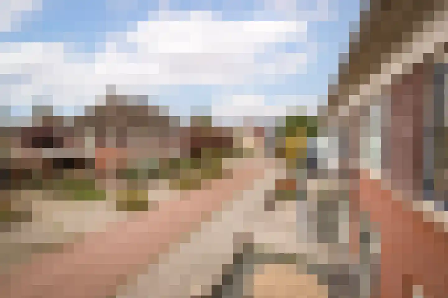 Roodborst 32 Hoogkarspel thumbnail 11