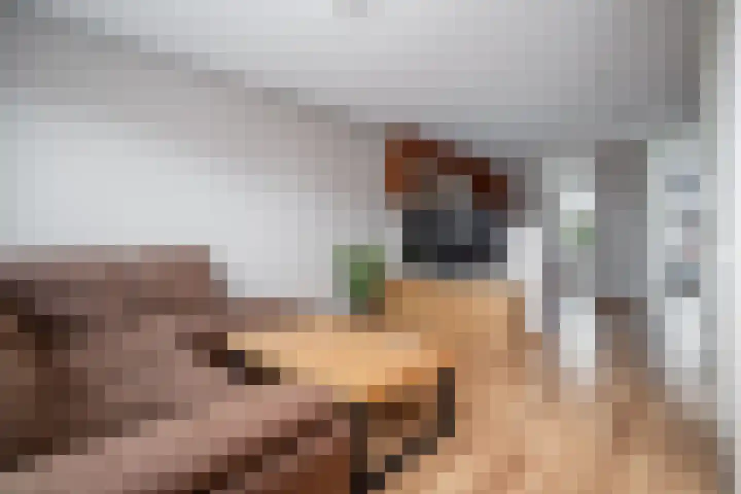 Roodborst 32 Hoogkarspel thumbnail 13