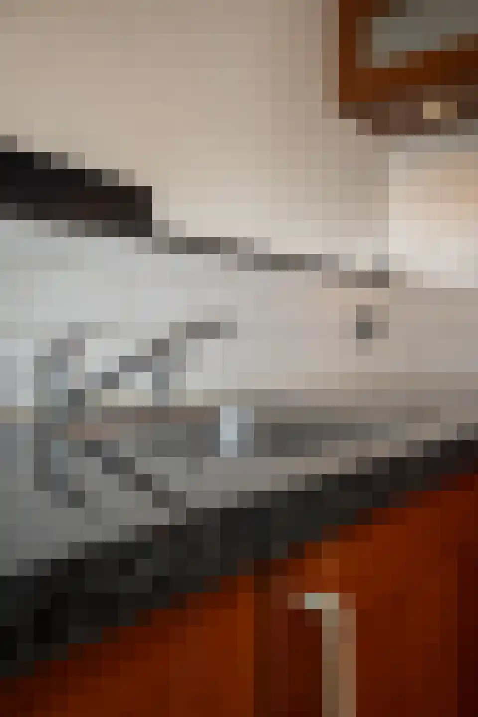 Roodborst 32 Hoogkarspel thumbnail 39