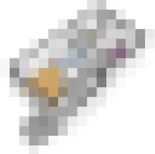 Roodborst 32 Hoogkarspel thumbnail 45