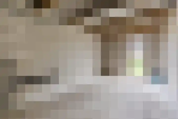Roodborst 35 Ommen thumbnail 33
