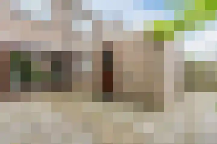 Roodborst 35 Ommen thumbnail 34