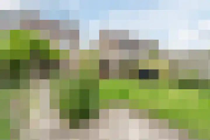 Roodborst 35 Ommen thumbnail 38