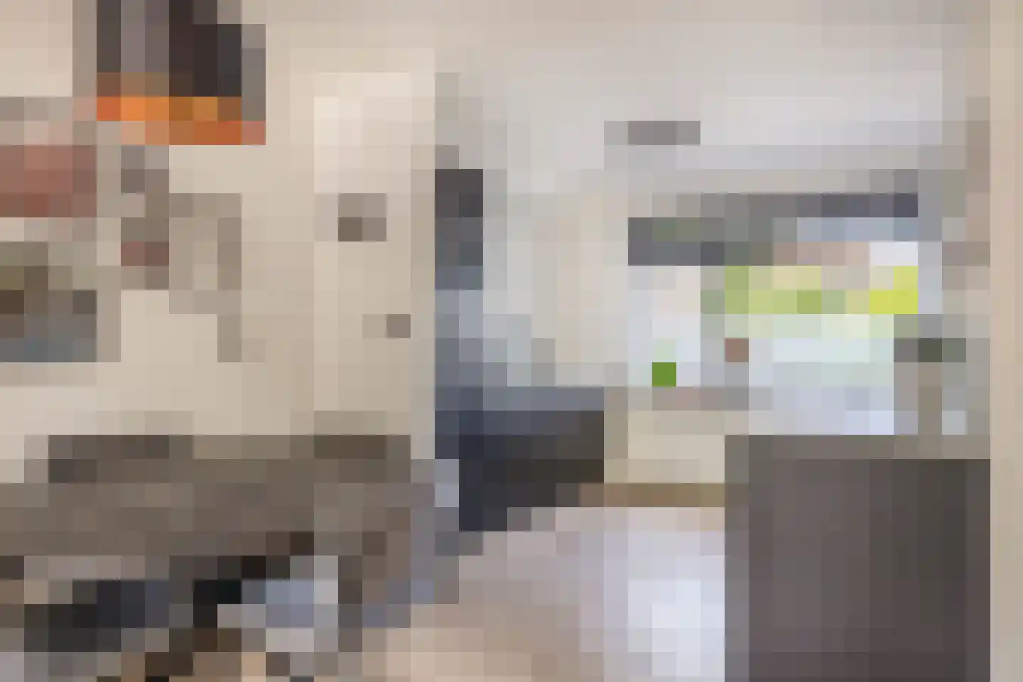Roodborst 41 Maasdam thumbnail 11