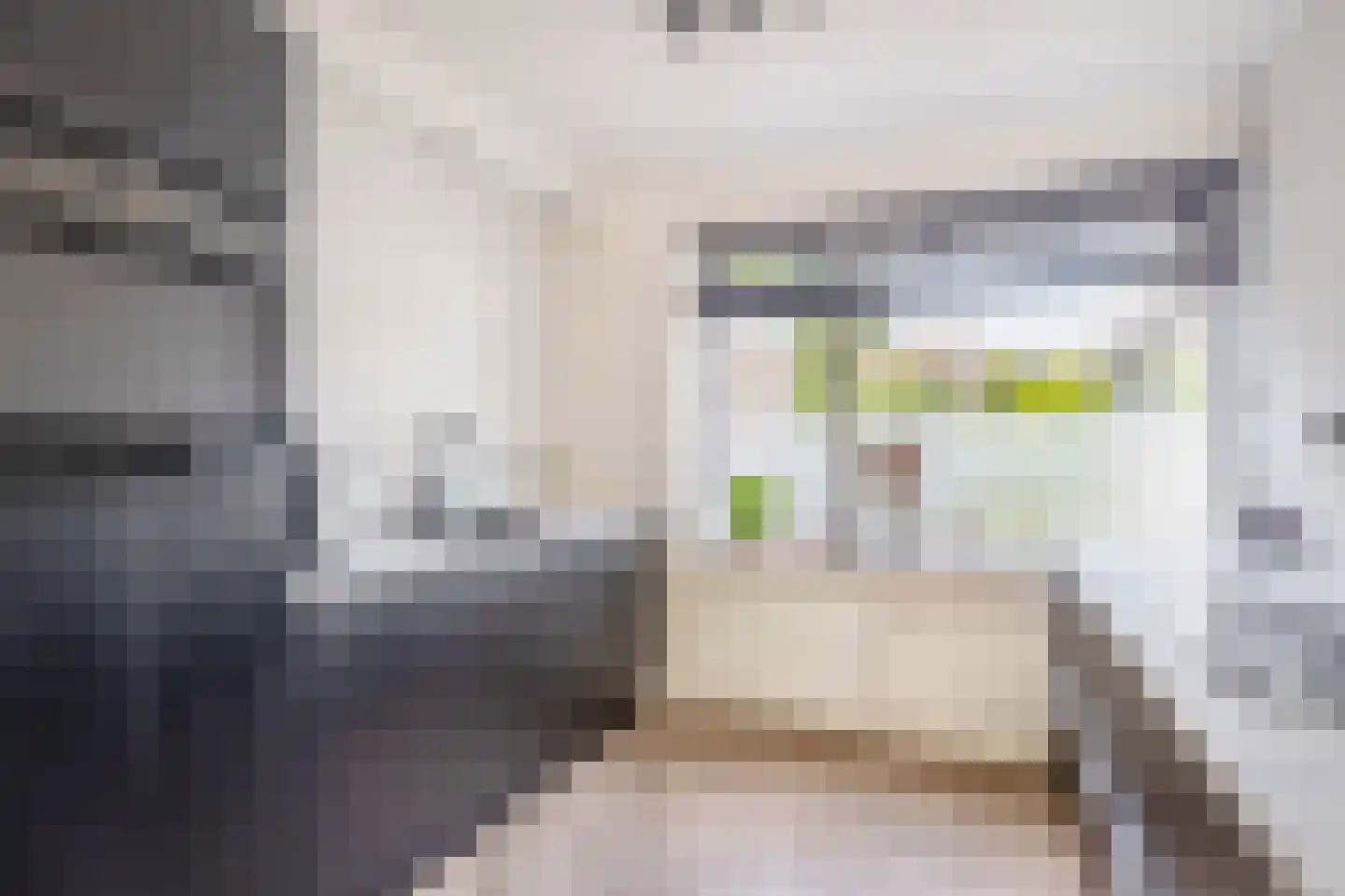 Roodborst 41 Maasdam thumbnail 13