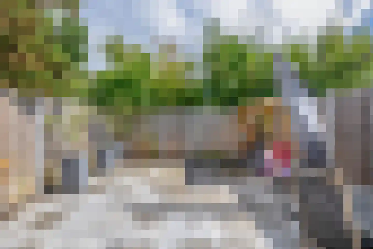 Roodborst 41 Maasdam thumbnail 20