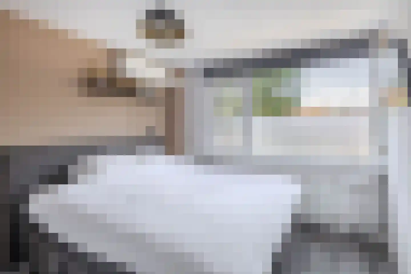 Roodborst 41 Maasdam thumbnail 23