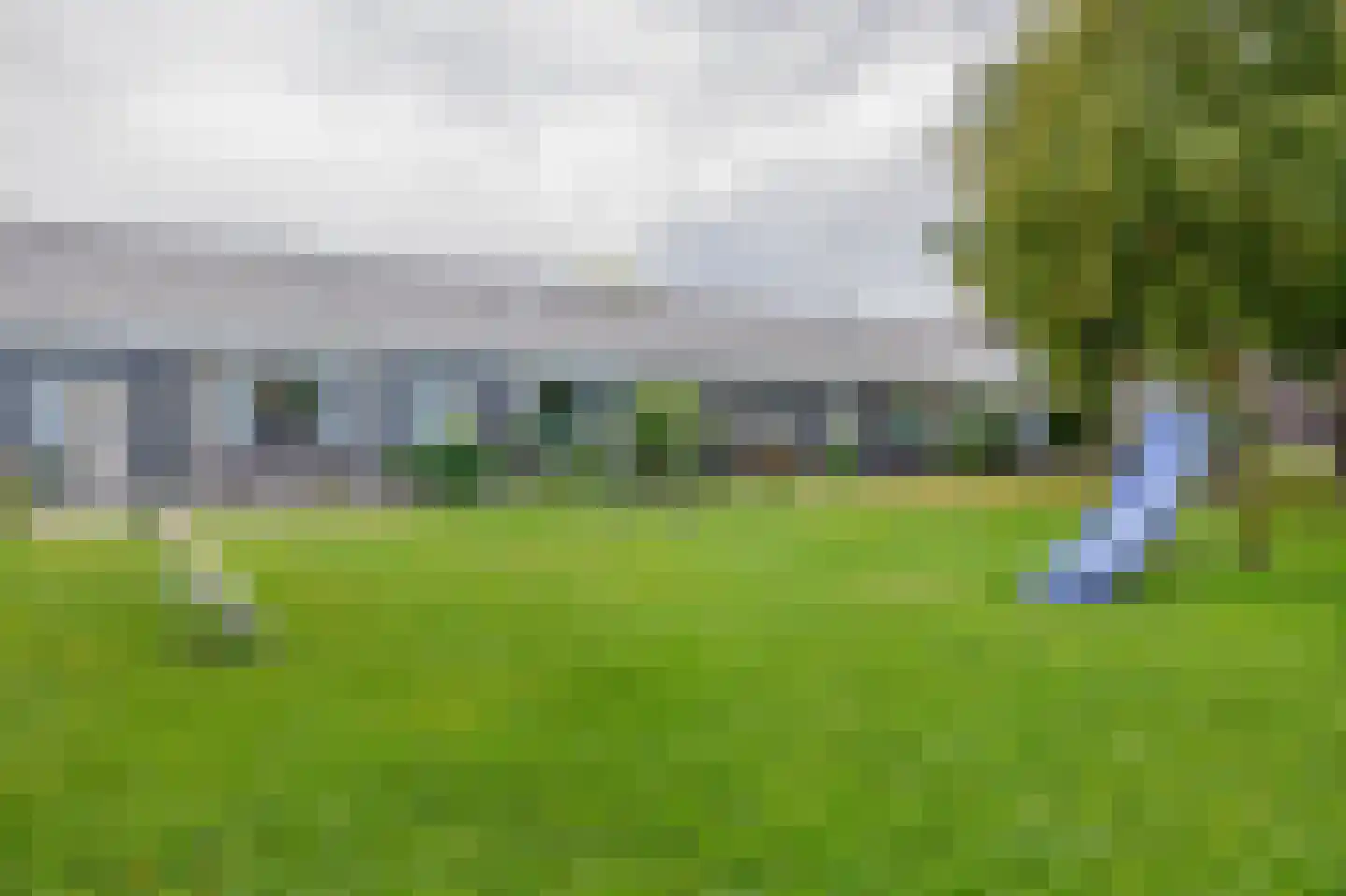 Roodborst 41 Maasdam thumbnail 34