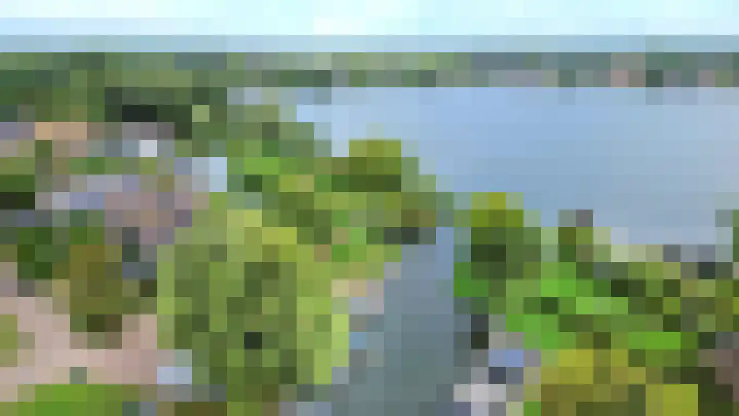Roodborst 41 Maasdam thumbnail 36