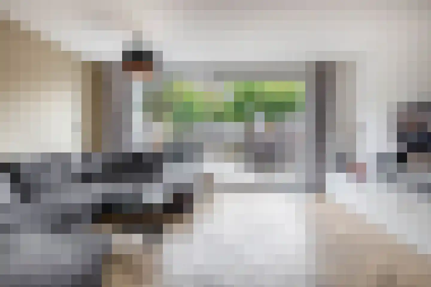 Roodborst 41 Maasdam thumbnail 7