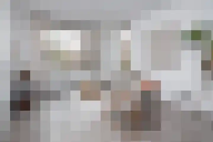 Roodborst 46 Hoogkarspel thumbnail 10
