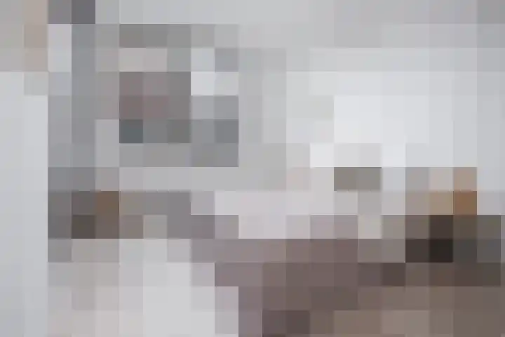 Roodborst 46 Hoogkarspel thumbnail 19