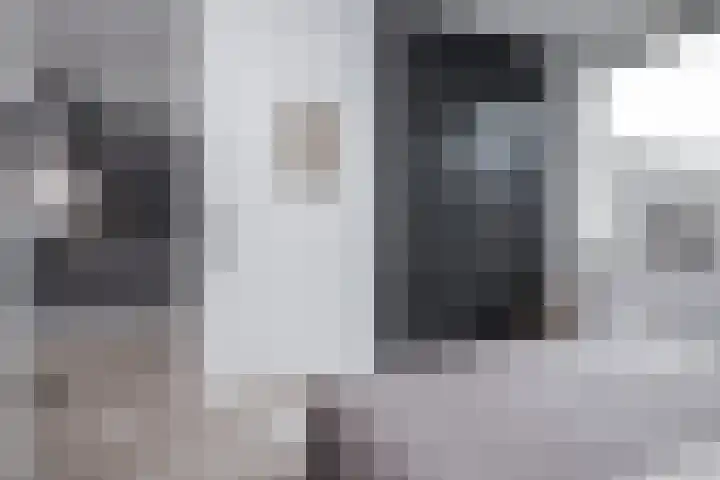 Roodborst 46 Hoogkarspel thumbnail 20