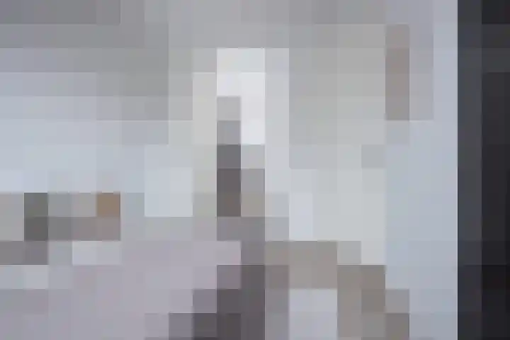 Roodborst 46 Hoogkarspel thumbnail 21