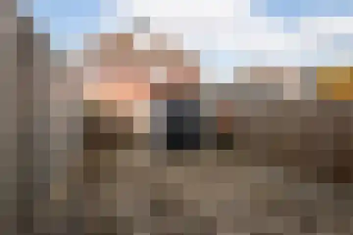 Roodborst 46 Hoogkarspel thumbnail 27
