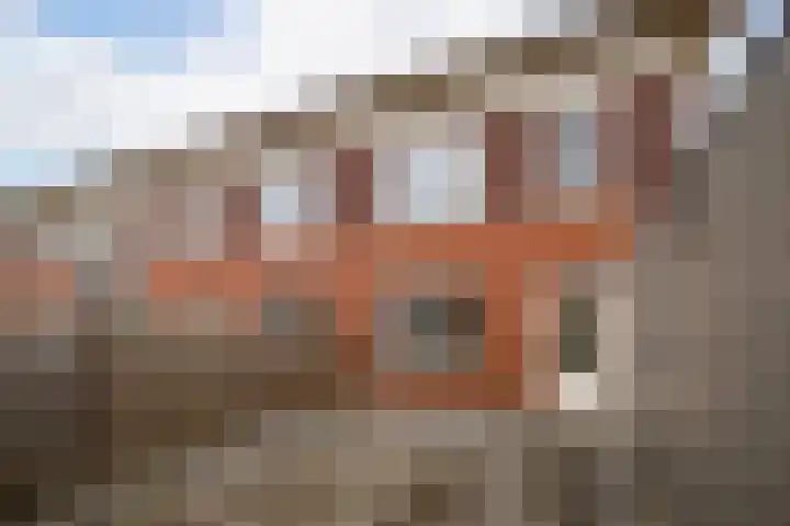 Roodborst 46 Hoogkarspel thumbnail 29