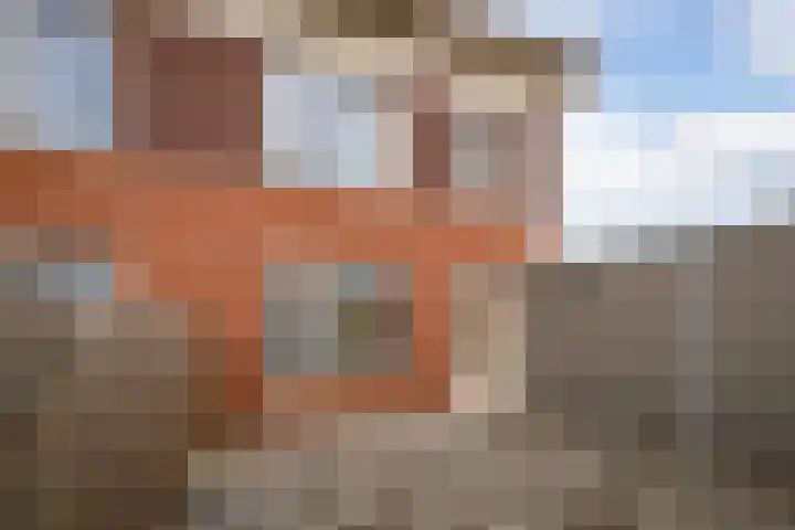 Roodborst 46 Hoogkarspel thumbnail 30
