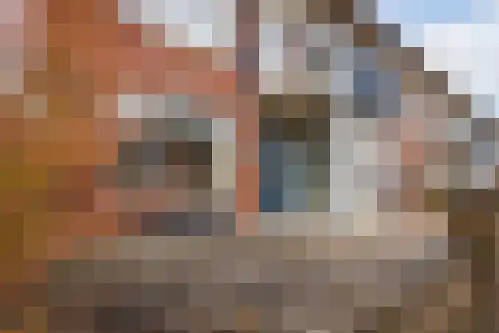 Roodborst 46 Hoogkarspel thumbnail 32