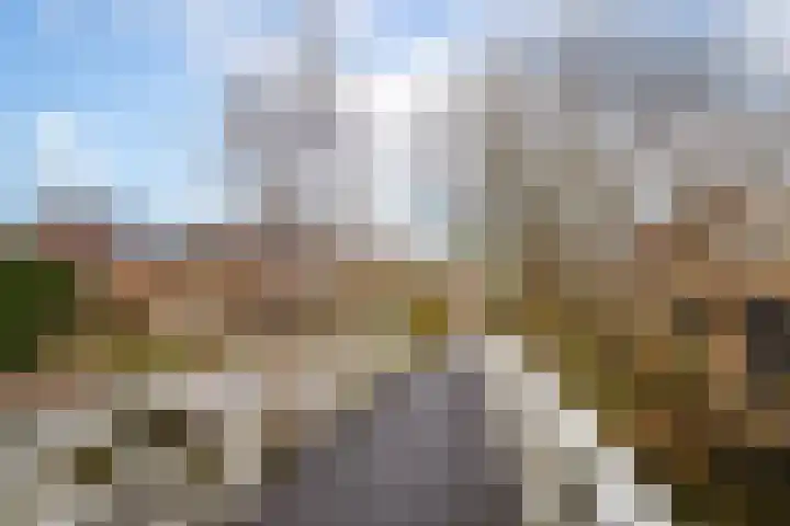 Roodborst 46 Hoogkarspel thumbnail 35