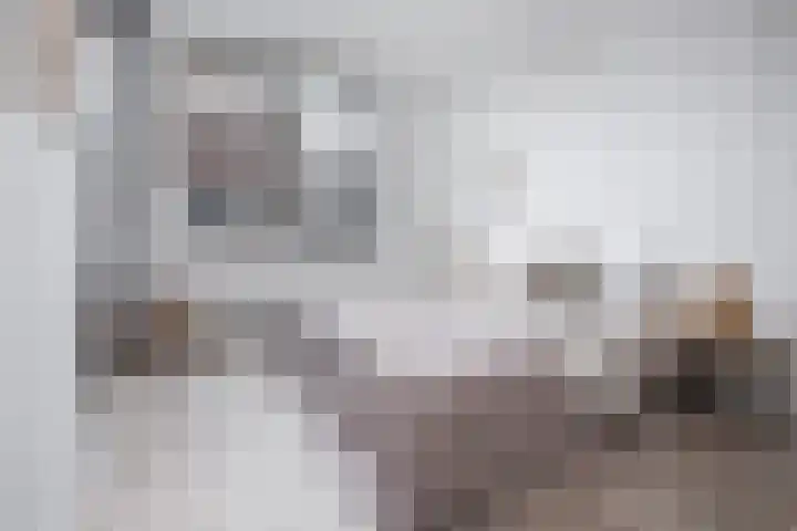 Roodborst 46 Hoogkarspel thumbnail 4