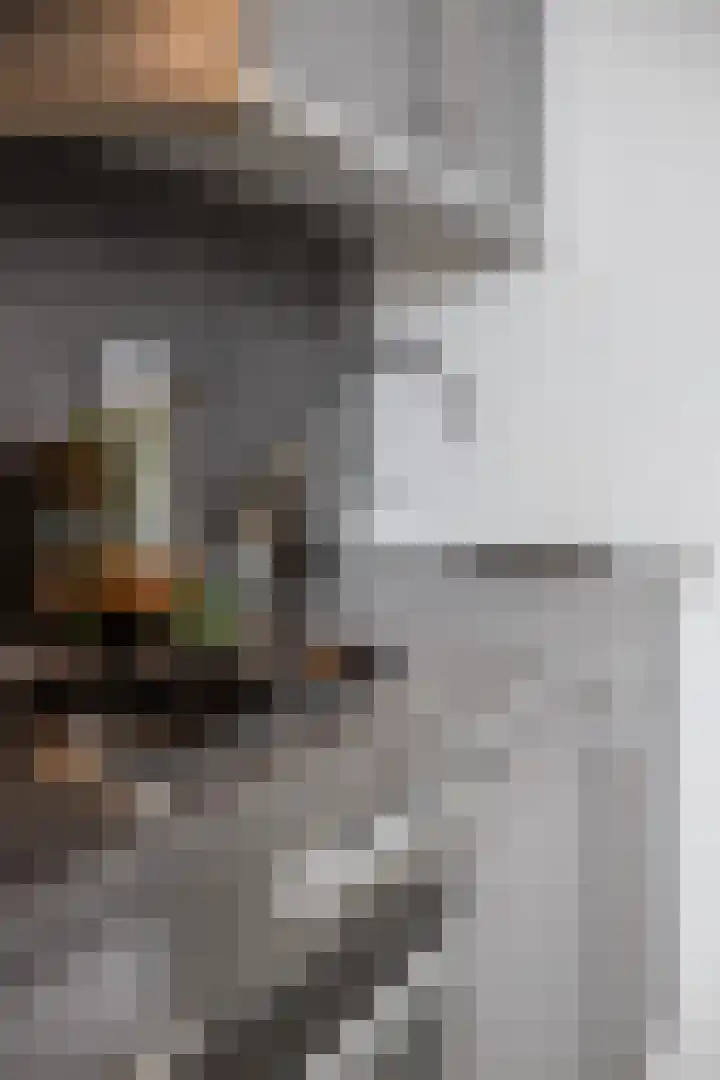 Roodborst 46 Hoogkarspel thumbnail 42