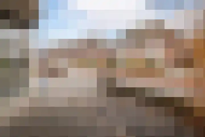 Roodborst 46 Hoogkarspel thumbnail 6
