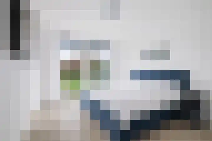 Roodborst 62 Olst thumbnail 10
