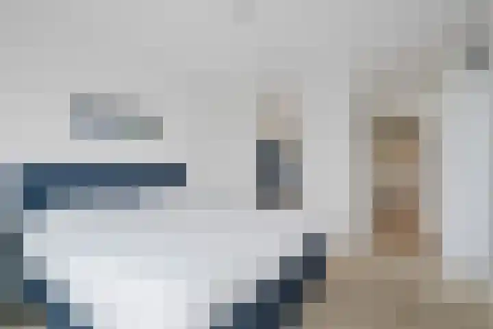 Roodborst 62 Olst thumbnail 11