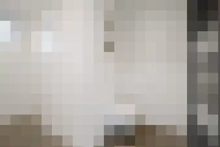 Roodborst 62 Olst thumbnail 15