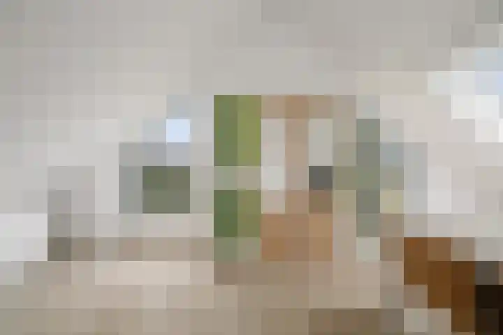 Roodborst 62 Olst thumbnail 19