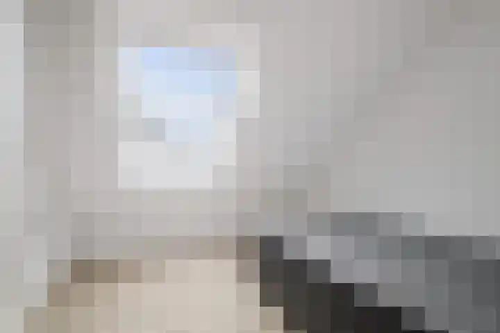 Roodborst 62 Olst thumbnail 21