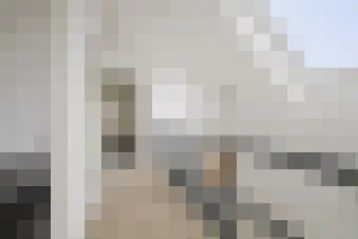 Roodborst 62 Olst thumbnail 22
