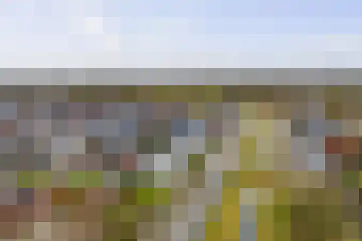 Roodborst 62 Olst thumbnail 26