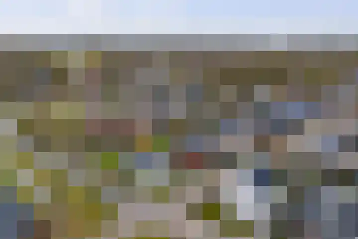 Roodborst 62 Olst thumbnail 27