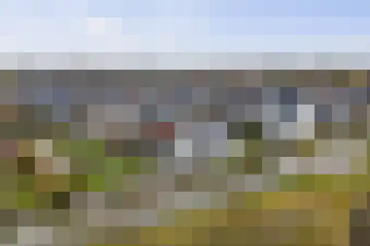 Roodborst 62 Olst thumbnail 28