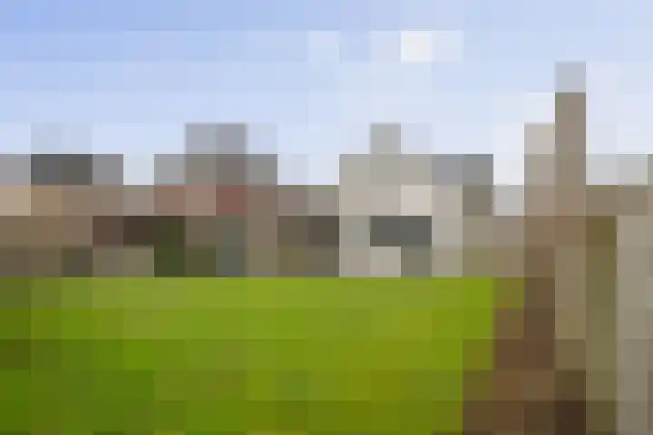Roodborst 62 Olst thumbnail 30