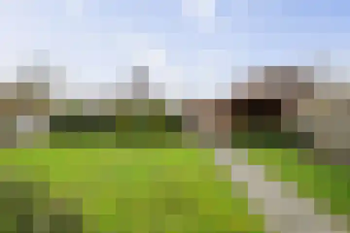 Roodborst 62 Olst thumbnail 32