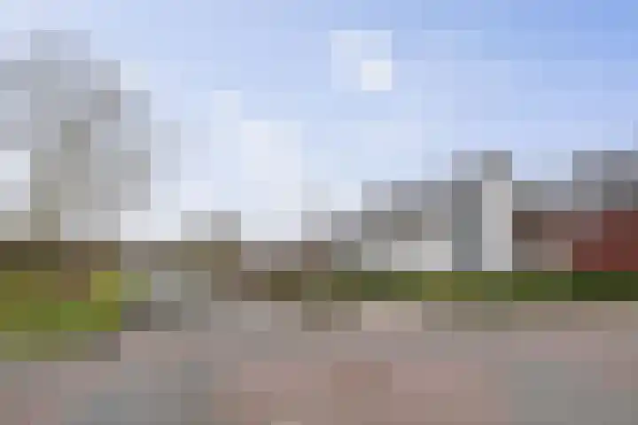 Roodborst 62 Olst thumbnail 33