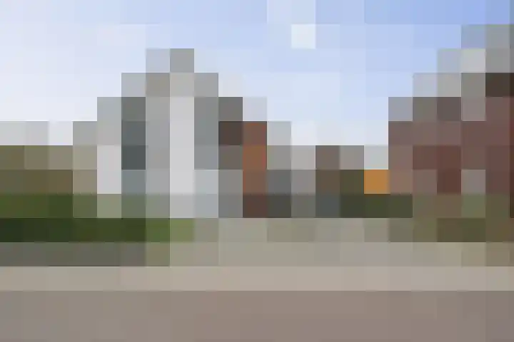 Roodborst 62 Olst thumbnail 34
