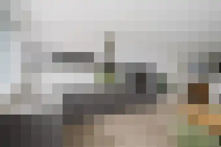 Roodborst 62 Olst thumbnail 4