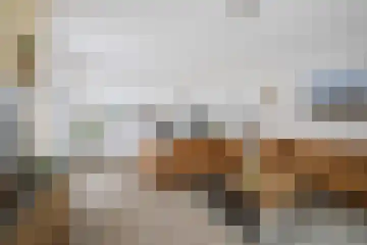 Roodborst 62 Olst thumbnail 5