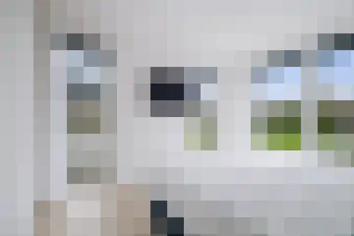 Roodborst 62 Olst thumbnail 9